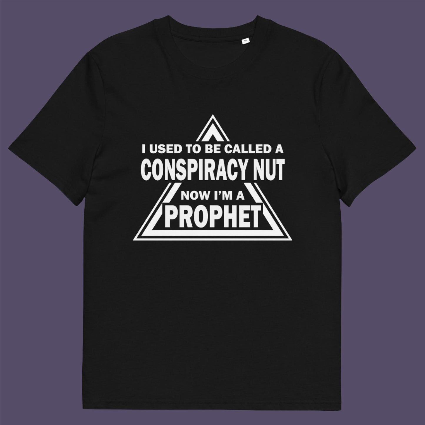 Black t-shirt. This conspiracy theorist t-shirt design is for anyone who used to get funny looks for their alternative view, but now gets greeted with nods of understanding as your earlier rantings come true. Made from 100% organic ring-spun cotton, this conspiracy theorist t-shirt is unisex, high-quality, super comfy, and best of all, eco-friendly.