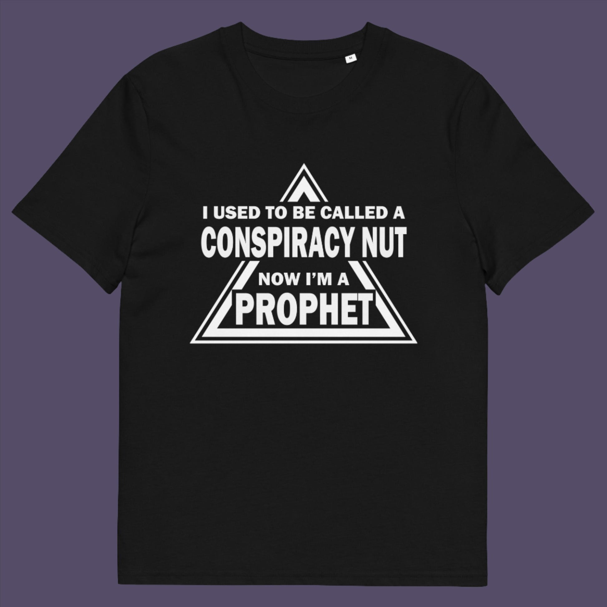 Black t-shirt. This conspiracy theorist t-shirt design is for anyone who used to get funny looks for their alternative view, but now gets greeted with nods of understanding as your earlier rantings come true. Made from 100% organic ring-spun cotton, this conspiracy theorist t-shirt is unisex, high-quality, super comfy, and best of all, eco-friendly.