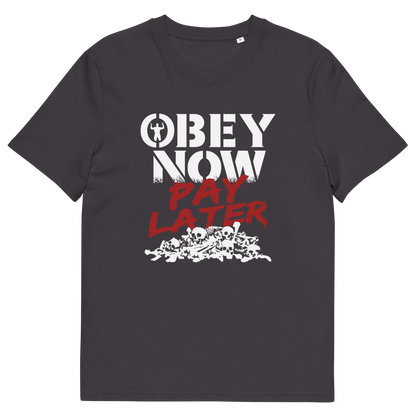 Anthracite t shirt. This broken society t shirt highlights our need to act against corruption. The longer we ignore and comply to a broken system now the more we will pay for it later. Made from 100% organic ring-spun cotton, this anti government t shirt is unisex, high-quality, super comfy, and best of all, eco-friendly.